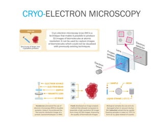 CRYO-ELECTRON MICROSCOPY
 