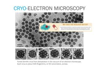 CRYO-ELECTRON MICROSCOPY
Forest Semliki virus from dehydration in the vacuum of an electron microscope.
Each virus is about 500 Ångströms, or 50 nanometers, across.
 