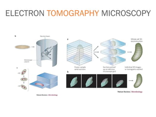 ELECTRON TOMOGRAPHY MICROSCOPY
 