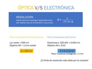 Para microscopia electrónica:
Electrones a 100 kEV ≈ 0.004 nm
Objetivo NA ≈ 0.01
d ≈ 0.1-0.2 nm
Para muestras biológicas ≈ 1 nm
Para microscopia de fluorescencia:
Luz verde ≈ 500 nm
Objetivo NA = 1.4 en aceite
d ≈ 220 nm
ÓPTICA V/S ELECTRÓNICA
RESOLUCIÓN
Capacidad para distinguir separadamente
dos objetos que se encuentran muy juntos.
λ
2Ƞ sin α
d =
¡El límite de resolución esta dado por la muestra!
 