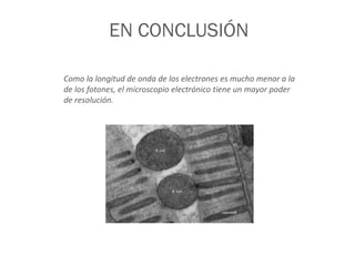 Como la longitud de onda de los electrones es mucho menor a la
de los fotones, el microscopio electrónico tiene un mayor poder
de resolución.
EN CONCLUSIÓN
 