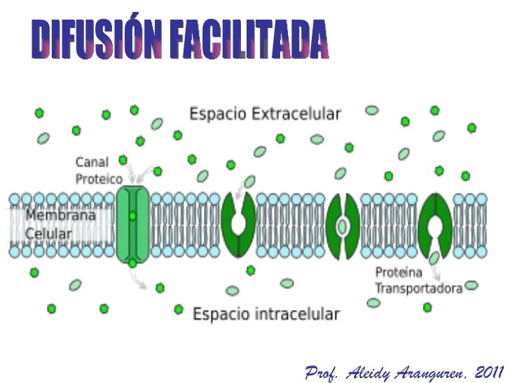 Resultado de imagen para difusion simple gif