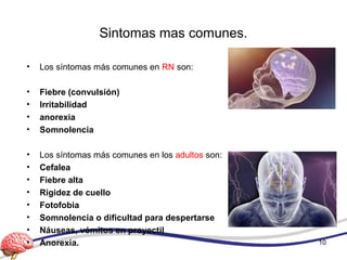 Sintomas mas comunes.
• Los síntomas más comunes en RN son:
• Fiebre (convulsión)
• Irritabilidad
• anorexia
• Somnolencia
• Los síntomas más comunes en los adultos son:
• Cefalea
• Fiebre alta
• Rigidez de cuello
• Fotofobia
• Somnolencia o dificultad para despertarse
• Náuseas, vómitos en proyectil
• Anorexia. 10
 