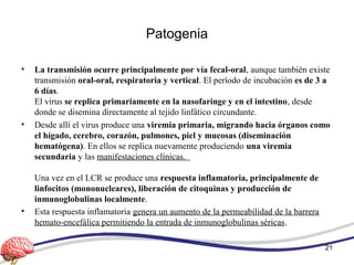 Patogenia
• La transmisión ocurre principalmente por vía fecal-oral, aunque también existe
transmisión oral-oral, respiratoria y vertical. El período de incubación es de 3 a
6 días.
El virus se replica primariamente en la nasofaringe y en el intestino, desde
donde se disemina directamente al tejido linfático circundante.
• Desde allí el virus produce una viremia primaria, migrando hacia órganos como
el hígado, cerebro, corazón, pulmones, piel y mucosas (diseminación
hematógena). En ellos se replica nuevamente produciendo una viremia
secundaria y las manifestaciones clínicas.
Una vez en el LCR se produce una respuesta inflamatoria, principalmente de
linfocitos (mononucleares), liberación de citoquinas y producción de
inmunoglobulinas localmente.
• Esta respuesta inflamatoria genera un aumento de la permeabilidad de la barrera
hemato-encefálica permitiendo la entrada de inmunoglobulinas séricas.
21
 