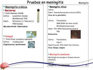 Meningitis
+ −
Pruebas en meningitisPruebas en meningitis
Meningitis crónicaMeningitis crónica
BacteriasBacterias
T. Ziehl-Neelsen: BAAR.
Cultivo: Lowestein-Jensen.
Middlebrook 7H9.
Ident.: Nitratos (+) / Niacina (+).
PCR/Sondas.
Mycobacterium tuberculosis
Hongos
T. Tinta China: Levadura capsulada.
Cultivo: A.Sabouraud
Cryptococcus neoformans.
Meningitis
Meningitis vírica::
Cultivo
Ident.: Inmunofluorescencia directa (IFD).
Virus de la parotiditis.
Cultivo: Fibroblastos.
BGM (Riñón de mono verde)
RD (Rabdomiosarcoma).
Ident.: IFI /RNA/Desnudo/pH ácido R
PCR.
Enterovirus.
Cultivo: Fibroblastos
Hep-2.
Identificación: IFD (Shell-Vial /Cultivo).
Virus Herpes simplex
Meningitis amebiana:
Morfología microscópica: Examen directo
(Amebas).
Cultivo:
Naegleria / Acanthamaeba. 24
 