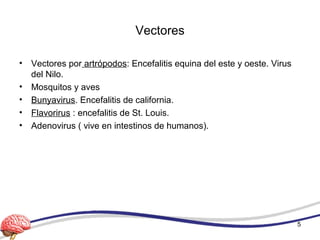 Vectores
• Vectores por artrópodos: Encefalitis equina del este y oeste. Virus
del Nilo.
• Mosquitos y aves
• Bunyavirus. Encefalitis de california.
• Flavorirus : encefalitis de St. Louis.
• Adenovirus ( vive en intestinos de humanos).
5
 