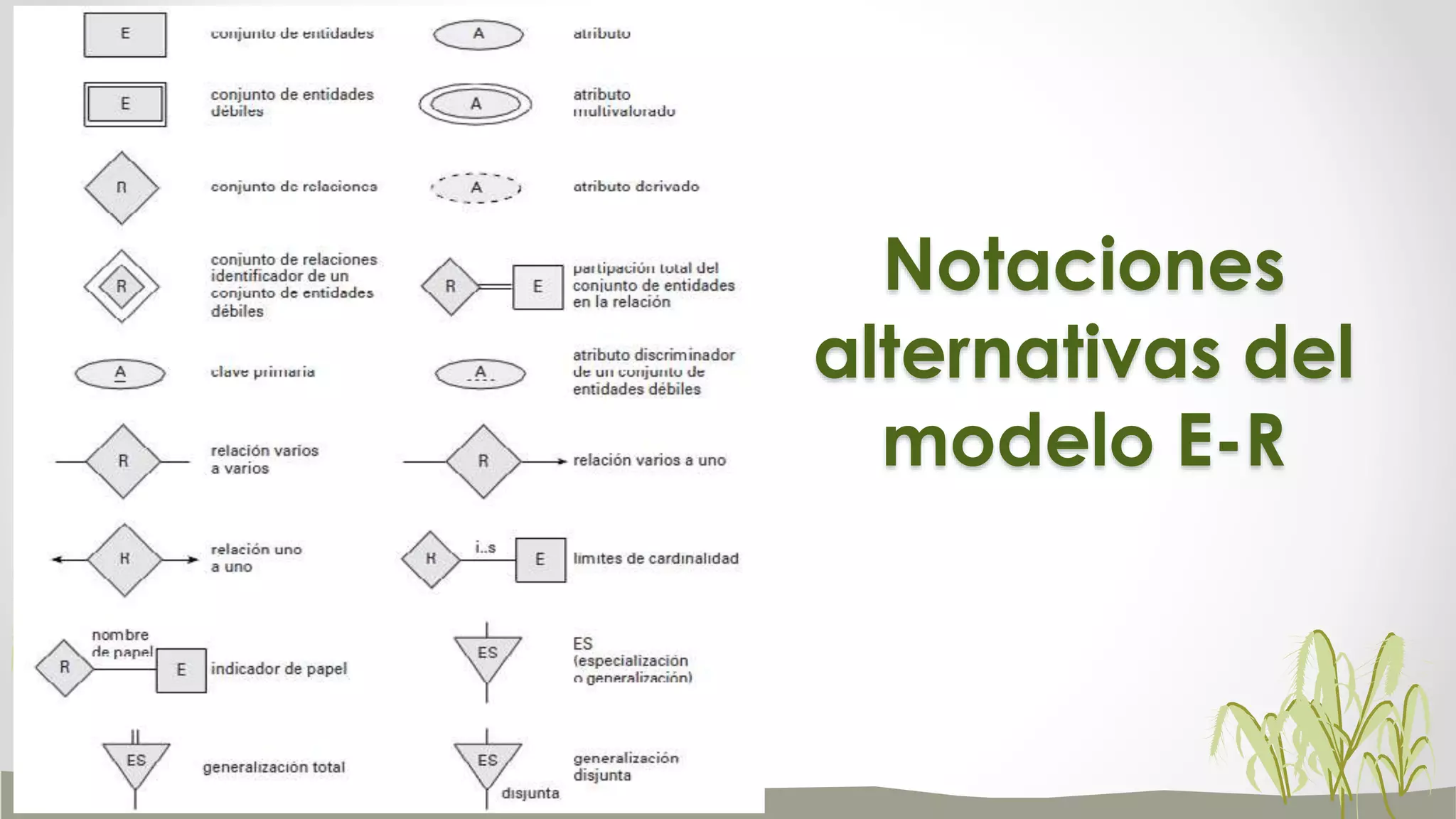 Notaciones
alternativas del
modelo E-R
 