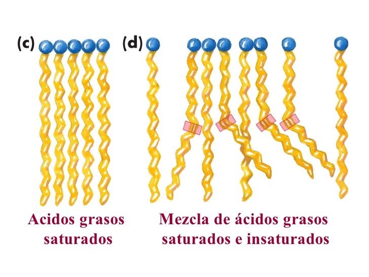 Cirugía de pérdida de peso mejores ideas para