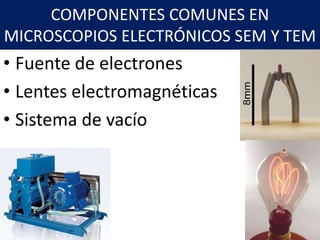 COMPONENTES COMUNES EN
MICROSCOPIOS ELECTRÓNICOS SEM Y TEM
• Fuente de electrones
• Lentes electromagnéticas
• Sistema de vacío
 