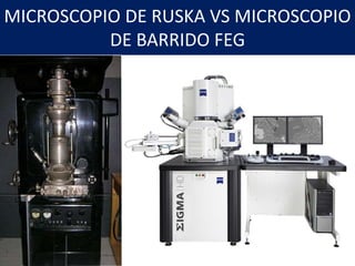 MICROSCOPIO DE RUSKA VS MICROSCOPIO
DE BARRIDO FEG
 