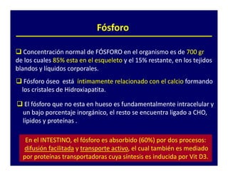Fósforo

   Concentración normal de FÓSFORO en el organismo es de 700 gr
de los cuales 85% esta en el esqueleto y el 15% restante, en los tejidos
blandos y líquidos corporales.
   Fósforo óseo está íntimamente relacionado con el calcio formando
  los cristales de Hidroxiapatita.

   El fósforo que no esta en hueso es fundamentalmente intracelular y
  un bajo porcentaje inorgánico, el resto se encuentra ligado a CHO,
  lípidos y proteínas .

   En el INTESTINO, el fósforo es absorbido (60%) por dos procesos:
  difusión facilitada y transporte activo, el cual también es mediado
                                   activo,
  por proteínas transportadoras cuya síntesis es inducida por Vit D3.
 