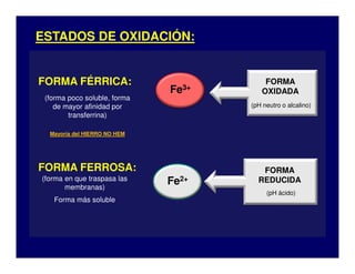 ESTADOS DE OXIDACIÓN:


FORMA FÉRRICA:                           FORMA
                              Fe3+      OXIDADA
 (forma poco soluble, forma
    de mayor afinidad por            (pH neutro o alcalino)
        transferrina)

  Mayoría del HIERRO NO HEM




FORMA FERROSA:                          FORMA
(forma en que traspasa las
       membranas)
                              Fe2+     REDUCIDA
                                          (pH ácido)
   Forma más soluble
 