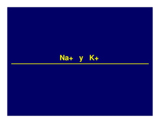 Na+ y K+
Na+
 