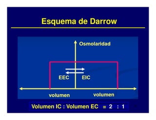 Esquema de Darrow




Volumen IC : Volumen EC = 2 : 1   32
 