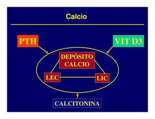 Calcio


PTH                          VIT D3
            DEPÓSITO
             CALCIO

      LEC              LIC



        CALCITONINA
 
