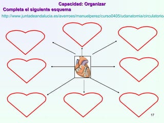 Capacidad: OrganizarCapacidad: Organizar
Completa el siguiente esquemaCompleta el siguiente esquema
http://www.juntadeandalucia.es/averroes/manuelperez/curso0405/udanatomia/circulatorio/
17
 