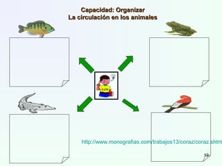 JAM
Capacidad: OrganizarCapacidad: Organizar
La circulación en los animalesLa circulación en los animales
http://www.monografias.com/trabajos13/coraz/coraz.shtm
19
 