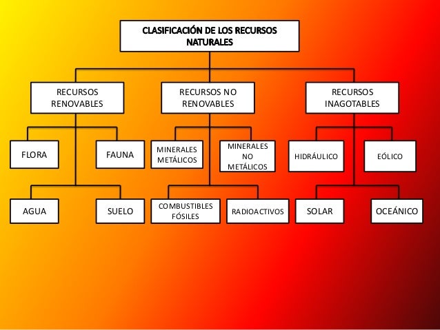 Concepto Y Clasificacion de los Recursos Naturales
