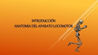 INTRODUCCIÓN
ANATOMIA DEL APARATO LOCOMOTOR
 