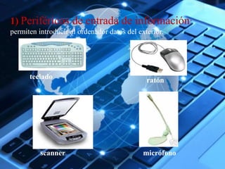 11)) Periféricos de entrada de información: 
permiten introducir al ordenador datos del exterior. 
teclado ratón 
scanner micrófono 
 