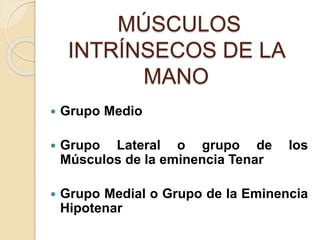 MÚSCULOS
INTRÍNSECOS DE LA
MANO
 Grupo Medio
 Grupo Lateral o grupo de los
Músculos de la eminencia Tenar
 Grupo Medial o Grupo de la Eminencia
Hipotenar
 