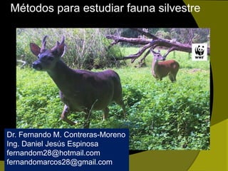 Métodos para estudiar fauna silvestre
Dr. Fernando M. Contreras-Moreno
Ing. Daniel Jesús Espinosa
fernandom28@hotmail.com
fernandomarcos28@gmail.com
 