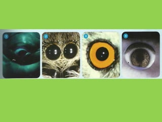 Clase muestra 5 to a