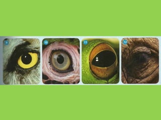 Clase muestra 5 to a