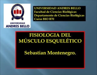 UNIVERSIDAD ANDRES BELLO
Facultad de Ciencias Biológicas
Departamento de Ciencias Biológicas
Curso BIO B70
FISIOLOGIA DEL
MÚSCULO ESQUELÉTICO
Sebastian Montenegro.
 