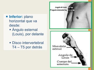  Inferior: plano
horizontal que va
desde:
 Ángulo esternal
(Louis), por delante
 Disco intervertebral
T4 – T5 por detrás
 
