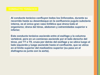 CONDUCTO TORÁCICO
Al conducto torácico confluyen todos los linfonodos, durante su
recorrido hasta su desemboque en la confluencia yugulo subclavia
interna, es el único gran vaso linfático que drena todo el
organismo; drena del tórax, abdomen y extremidades superior e
inferior.
Este conducto toráxico asciende entre el esófago y la columna
vertebral, pero en un comienzo asciende por el lado derecho del
tórax, por T7 o T9, cruza por detrás del esófago y se ubica luego al
lado izquierdo y luego asciende hasta el confluente, que se ubica
en el límite superior del mediastino superior (su paso en el
diafragma es junto con la aorta).
 