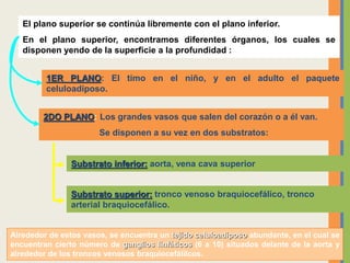 El plano superior se continúa libremente con el plano inferior.
En el plano superior, encontramos diferentes órganos, los cuales se
disponen yendo de la superficie a la profundidad :
2DO PLANO: Los grandes vasos que salen del corazón o a él van.
Se disponen a su vez en dos substratos:
1ER PLANO: El timo en el niño, y en el adulto el paquete
celuloadiposo.
Substrato inferior: aorta, vena cava superior
Substrato superior: tronco venoso braquiocefálico, tronco
arterial braquiocefálico.
Alrededor de estos vasos, se encuentra un tejido celuloadiposo abundante, en el cual se
encuentran cierto número de ganglios linfáticos (6 a 10) situados delante de la aorta y
alrededor de los troncos venosos braquiocefálilcos.
 