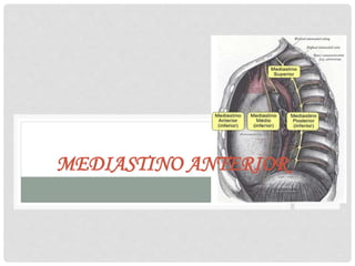 MEDIASTINO ANTERIOR
 