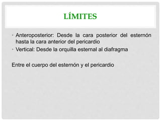 LÍMITES
• Anteroposterior: Desde la cara posterior del esternón
hasta la cara anterior del pericardio
• Vertical: Desde la orquilla esternal al diafragma
Entre el cuerpo del esternón y el pericardio
 