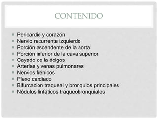 CONTENIDO
 Pericardio y corazón
 Nervio recurrente izquierdo
 Porción ascendente de la aorta
 Porción inferior de la cava superior
 Cayado de la ácigos
 Arterias y venas pulmonares
 Nervios frénicos
 Plexo cardiaco
 Bifurcación traqueal y bronquios principales
 Nódulos linfáticos traqueobronquiales
 