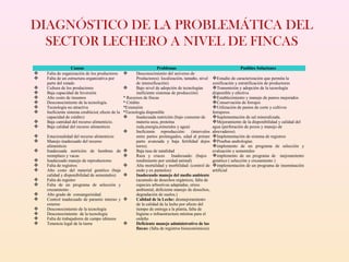 Causas Problemas Posibles Soluciones
 Falta de organización de los productores
 Falta de un estructura organizativa por
parte del estado
 Cultura de los productores
 Baja capacidad de Inversión
 Alto costo de insumos
 Desconocimiento de la tecnología.
 Tecnología no atractiva
 Ineficiente sistema crediticio( efecto de la
capacidad de crédito)
 Baja cantidad del recurso alimenticio.
 Baja calidad del recurso alimenticio
 Estacionalidad del recurso alimenticio
 Manejo inadecuado del recurso
alimenticio
 Inadecuada nutrición de hembras de
reemplazo y vacas
 Inadecuado manejo de reproductores
 Falta de registros
 Alto costo del material genético (baja
calidad y disponibilidad de sementales)
 Falta de registro
 Falta de un programa de selección y
cruzamiento .
 Alto grado de consanguinidad.
 Control inadecuado de parasito interno y
externo
 Desconocimiento de la tecnología
 Desconocimiento de la tecnología
 Falta de trabajadores de campo idóneos
 Tenencia legal de la tierra
 Desconocimiento del universo de
Productores): localización, tamaño, nivel
de intensificación)
 Bajo nivel de adopción de tecnologías
ineficiente sistemas de producción)
* Recursos de fincas
* Crédito
*Extensión
*Tecnología disponible
 Inadecuada nutrición (bajo consumo de
materia seca, proteína
ruda,energía,minerales y agua)
 Ineficiente reproducción: (intervalos
entre partos prolongados, edad al primer
parto avanzada y baja fertilidad dejos
toros).
 Baja tasa de natalidad
 Raza y cruces Inadecuado: (bajos
rendimiento por unidad animal)
 Alta mortalidad y morbilidad: (control de
endo y ex parásitos)
 Inadecuado manejo del medio ambiente
(acumulo de desechos orgánicos, falta de
especies arbustivas adaptadas, stress
ambiental, deficiente manejo de desechos,
degradación de suelos.)
 Calidad de la Leche: desmejoramiento
de la calidad de la leche por efecto del
tiempo de entrega a la planta, falta de
higiene e infraestructura mínima para el
ordeño
 Deficiente manejo administrativo de las
fincas: (falta de registros bioeconómicos)
Estudio de caracterización que permita la
zonificación y estratificación de productores
Transmisión y adopción de la tecnología
disponible y efectiva
Establecimiento y manejo de pastos mejorados
Conservación de forrajes
Utilización de pastos de corte y cultivos
forrajeros.
Suplementación de sal mineralizada.
Mejoramiento de la disponibilidad y calidad del
agua (perforación de pozos y manejo de
abrevaderos)
Implementación de sistema de registros
Pruebas andrologías
implemento de un programa de selección y
evaluación y sementales
implemento de un programa de mejoramiento
genético ( selección y cruzamiento )
implementación de un programa de inseminación
artificial
DIAGNÓSTICO DE LA PROBLEMÁTICA DEL
SECTOR LECHERO A NIVEL DE FINCAS
 
