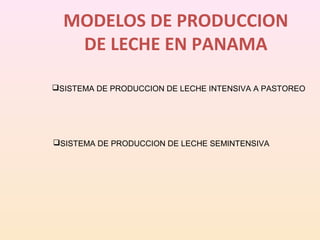 MODELOS DE PRODUCCION
DE LECHE EN PANAMA
SISTEMA DE PRODUCCION DE LECHE INTENSIVA A PASTOREO
SISTEMA DE PRODUCCION DE LECHE SEMINTENSIVA
 
