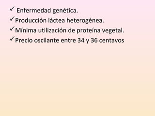 Enfermedad genética.
Producción láctea heterogénea.
Mínima utilización de proteína vegetal.
Precio oscilante entre 34 y 36 centavos
 