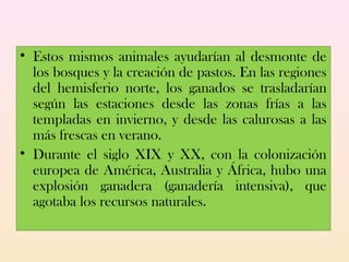 • Estos mismos animales ayudarían al desmonte de
los bosques y la creación de pastos. En las regiones
del hemisferio norte, los ganados se trasladarían
según las estaciones desde las zonas frías a las
templadas en invierno, y desde las calurosas a las
más frescas en verano.
• Durante el siglo XIX y XX, con la colonización
europea de América, Australia y África, hubo una
explosión ganadera (ganadería intensiva), que
agotaba los recursos naturales.
 