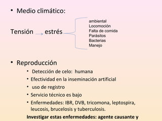 • Medio climático:
Tensión estrés
• Reproducción
• Detección de celo: humana
• Efectividad en la inseminación artificial
• uso de registro
• Servicio técnico es bajo
• Enfermedades: IBR, DVB, tricomona, leptospira,
leucosis, brucelosis y tuberculosis.
Investigar estas enfermedades: agente causante y
ambiental
Locomoción
Falta de comida
Parásitos
Bacterias
Manejo
 