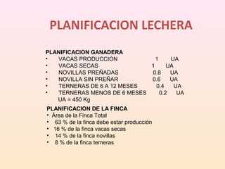 PLANIFICACION LECHERA
PLANIFICACION GANADERA
• VACAS PRODUCCION 1 UA
• VACAS SECAS 1 UA
• NOVILLAS PREÑADAS 0.8 UA
• NOVILLA SIN PREÑAR 0.6 UA
• TERNERAS DE 6 A 12 MESES 0.4 UA
• TERNERAS MENOS DE 6 MESES 0.2 UA
UA = 450 Kg
PLANIFICACION DE LA FINCA
• Área de la Finca Total
• 63 % de la finca debe estar producción
• 16 % de la finca vacas secas
• 14 % de la finca novillas
• 8 % de la finca terneras
 