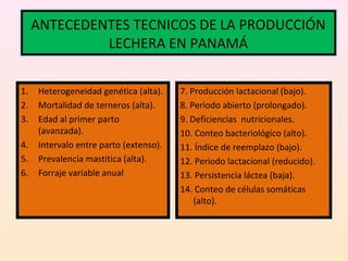 1. Heterogeneidad genética (alta).
2. Mortalidad de terneros (alta).
3. Edad al primer parto
(avanzada).
4. Intervalo entre parto (extenso).
5. Prevalencia mastitica (alta).
6. Forraje variable anual
7. Producción lactacional (bajo).
8. Periodo abierto (prolongado).
9. Deficiencias nutricionales.
10. Conteo bacteriológico (alto).
11. Índice de reemplazo (bajo).
12. Periodo lactacional (reducido).
13. Persistencia láctea (baja).
14. Conteo de células somáticas
(alto).
ANTECEDENTES TECNICOS DE LA PRODUCCIÓN
LECHERA EN PANAMÁ
 