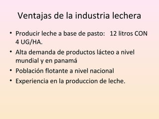 Ventajas de la industria lechera
• Producir leche a base de pasto: 12 litros CON
4 UG/HA.
• Alta demanda de productos lácteo a nivel
mundial y en panamá
• Población flotante a nivel nacional
• Experiencia en la produccion de leche.
 