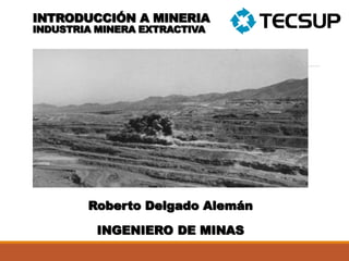 INTRODUCCIÓN A MINERIA
INDUSTRIA MINERA EXTRACTIVA
Roberto Delgado Alemán
INGENIERO DE MINAS
 