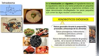 En la intoxicación por ciguatera, el ingrediente tóxico es
la ciguatoxina. esta es una toxina producida en pequeñas
cantidades por ciertas algas y organismos similares a las
algas denominados dinoflagelados. los peces pequeños
que comen las algas resultan contaminados.
 