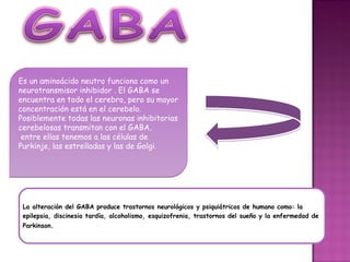 Es un aminoácido neutro funciona como un
neurotransmisor inhibidor . El GABA se
encuentra en todo el cerebro, pero su mayor
concentración está en el cerebelo.
Posiblemente todas las neuronas inhibitorias
cerebelosas transmitan con el GABA,
 entre ellas tenemos a las células de
Purkinje, las estrelladas y las de Golgi.




 La alteración del GABA produce trastornos neurológicos y psiquiátricos de humano como: la
 epilepsia, discinesia tardía, alcoholismo, esquizofrenia, trastornos del sueño y la enfermedad de
 Parkinson.
 