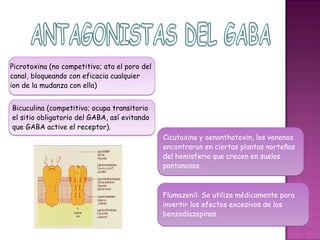 Picrotoxina (no competitivo; ata el poro del
canal, bloqueando con eficacia cualquier
ion de la mudanza con ella)


Bicuculina (competitivo; ocupa transitorio
el sitio obligatorio del GABA, así evitando
que GABA active el receptor).
                                               Cicutoxina y oenanthotoxin, los venenos
                                               encontraron en ciertas plantas norteñas
                                               del hemisferio que crecen en suelos
                                               pantanosos.



                                               Flumazenil: Se utiliza médicamente para
                                               invertir los efectos excesivos de los
                                               benzodiazepinas.
 