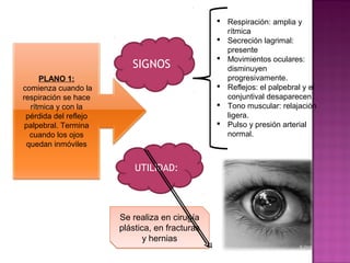  Respiración: amplia y
                                                  rítmica
                                                 Secreción lagrimal:
                                                  presente
                                                 Movimientos oculares:
                          SIGNOS                  disminuyen
     PLANO 1:                                     progresivamente.
comienza cuando la                               Reflejos: el palpebral y el
respiración se hace                               conjuntival desaparecen.
  rítmica y con la                               Tono muscular: relajación
 pérdida del reflejo                              ligera.
 palpebral. Termina                              Pulso y presión arterial
  cuando los ojos                                 normal.
 quedan inmóviles


                           UTILIDAD:




                       Se realiza en cirugía
                       plástica, en fracturas
                              y hernias
 
