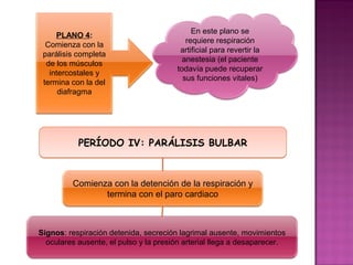 En este plano se
     PLANO 4:
                                          requiere respiración
  Comienza con la
                                        artificial para revertir la
 parálisis completa
                                         anestesia (el paciente
  de los músculos
                                       todavía puede recuperar
   intercostales y
                                         sus funciones vitales)
 termina con la del
      diafragma




           PERÍODO IV: PARÁLISIS BULBAR



         Comienza con la detención de la respiración y
                termina con el paro cardiaco



Signos: respiración detenida, secreción lagrimal ausente, movimientos
  oculares ausente, el pulso y la presión arterial llega a desaparecer.
 