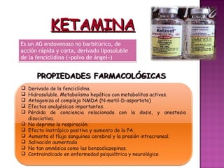 KETAMINA
Es un AG endovenoso no barbitúrico, de
acción rápida y corta, derivado liposoluble
de la fenciclidina («polvo de ángel»)


       PROPIEDADES FARMACOLÓGICAS
   Derivado de la fenciclidina.
   Hidrosoluble. Metabolismo hepático con metabolitos activos.
   Antagoniza al complejo NMDA (N-metil-D-aspartato)
   Efectos analgésicos importantes.
   Pérdida de conciencia relacionada con la dosis, y anestesia
    disociativa.
   No deprime la respiración.
   Efecto inotrópico positivo y aumento de la PA.
   Aumenta el flujo sanguineo cerebral y la presión intracraneal.
   Salivación aumentada
   No tan amnésica como las benzodiazepinas.
   Contraindicado en enfermedad psiquiátrica y neurológica
 